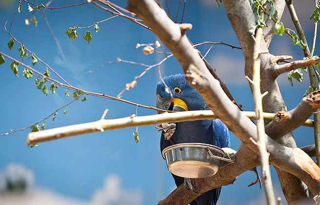 短信测压准确吗