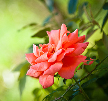 无卡顿不闪退的手机号测压api