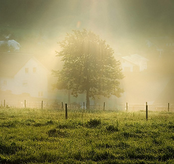 云呼电话测压网页版