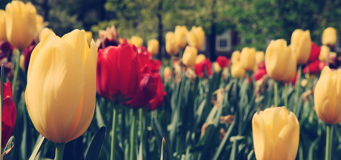 电脑短信轰炸机