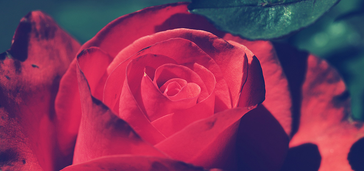 即刻到账安全的手机号测压api